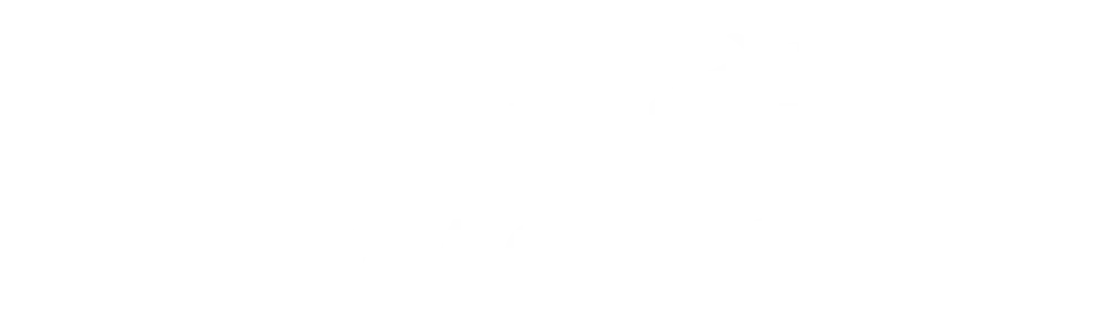 Trip In